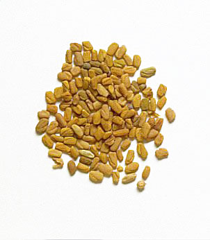 حلبه بلدى مغربله