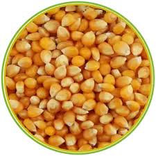 فشار امريكى