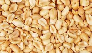 فول حلويات نمره 1