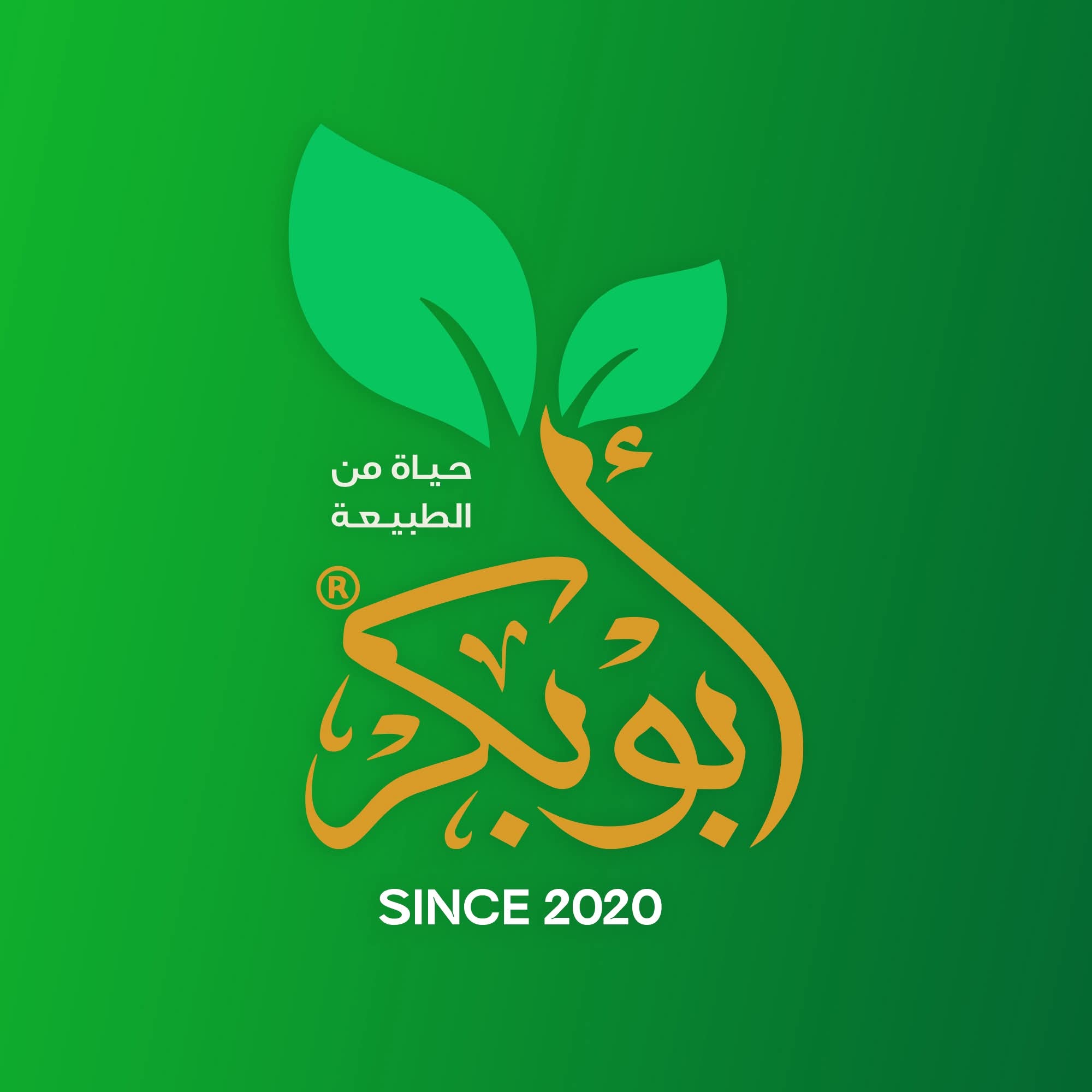 أطعمة مجففة